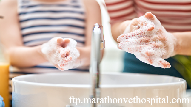 Metode Menghilangkan Bintik-Bintik Kecil di Tangan