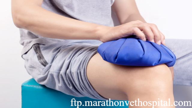 Metode Cepat Mengobati Frozen Shoulder yang Efektif