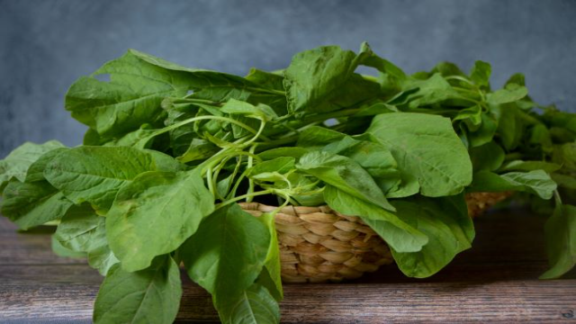 Manfaat Bayam untuk Kesehatan Mental: Sayuran Sederhana, Dampak Luar Biasa